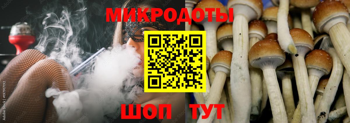 Галлюциногенные грибы Magic Shrooms  Галлюциногенные грибы GOLDEN TEACHER  Кудрово  Вход с VPN 
